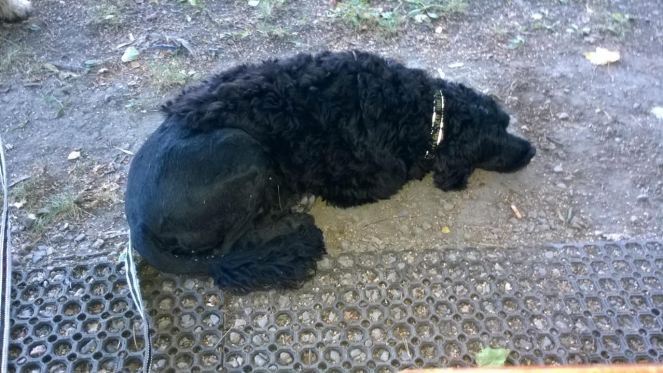 615ae930-94f7-4248-8f12-624c95b2cd3f